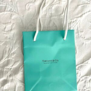 Tiffany & Co. Empty Jewelry Bag